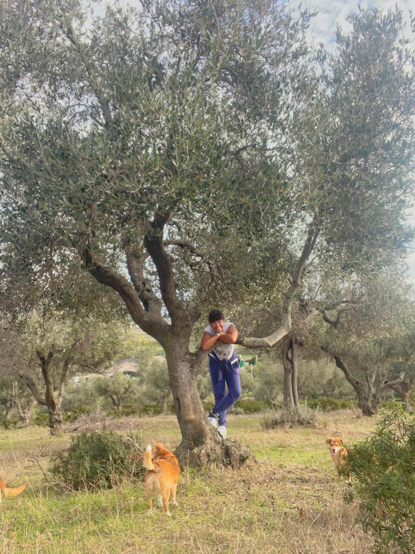 Appartamento Agriturismo Porta al Colle Macchiascandona Esterno foto