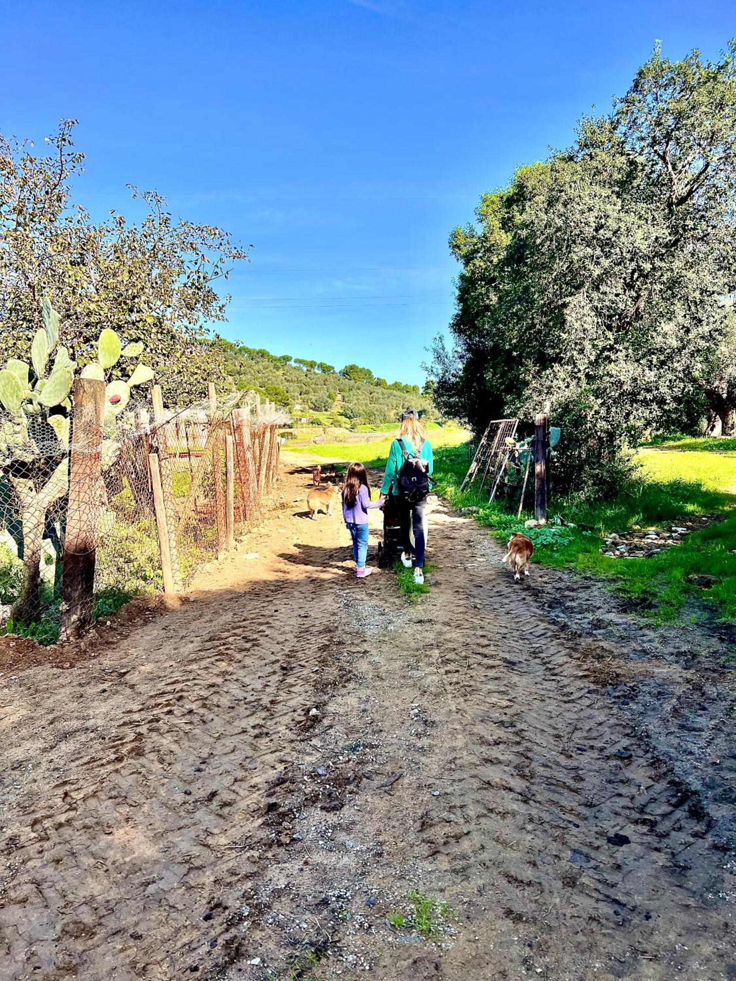 Appartamento Agriturismo Porta al Colle Macchiascandona Esterno foto